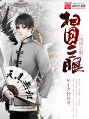 《相国之眼》