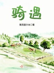 《骑遇》