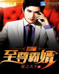 《豪门至尊霸婿》