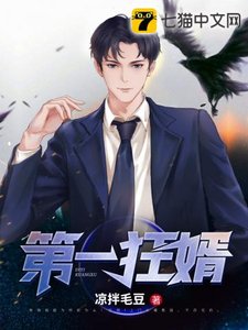 《第一狂婿》