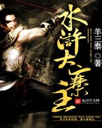 《水浒大寨主》