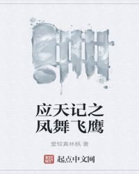 應天記之鳳舞飛鷹