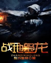 《战地枭龙》