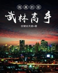 《我真的是武林高手》