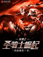 《美漫之圣骑士崛起》