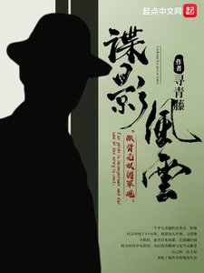 《谍影风云》