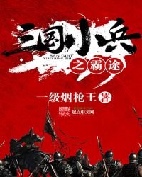 《三国小兵之霸途》
