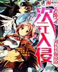 《无限之次元入侵》