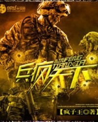 《兵疯天下》