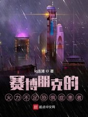《赛博朋克的火力不足恐惧症患者》