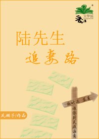 《陆先生追妻路》