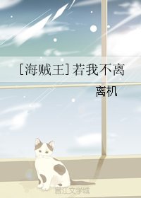 （BG/海贼王同人）[海贼王]若我不离