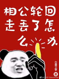 相公轮回走丢了怎么办