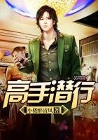 《高手潜行》