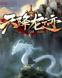 《天降龙迹》