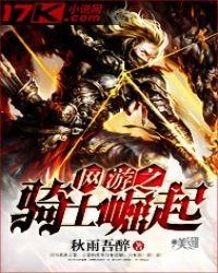 《網遊之騎士崛起》