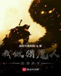 我做猎魔人的那些年