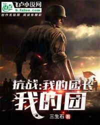 《抗战:我的团长我的团》