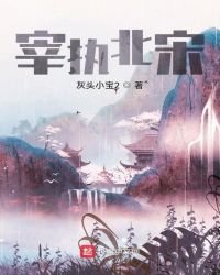 《宰执北宋》