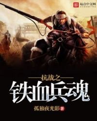 《抗战之铁血兵魂》
