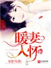 暖妻入懷（重生）
