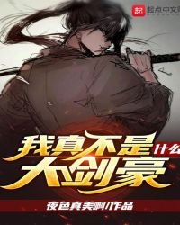《我真不是什么大剑豪》