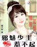 《嗜爱成瘾:邪魅少主惹不起》