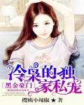 《黑金豪門:冷梟的獨傢俬寵》