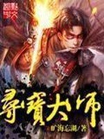 《寻宝大师》