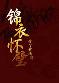锦衣怀璧