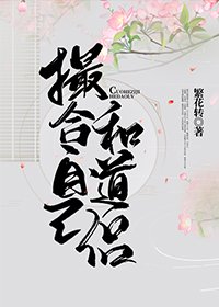 撮合自己和道侣(快穿)