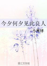 《今夕何夕见此良人/你被包 养了》