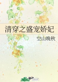 清穿之盛寵嬌妃