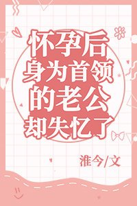《(BG/综漫同人)怀孕后身为首领的老公却失忆了》