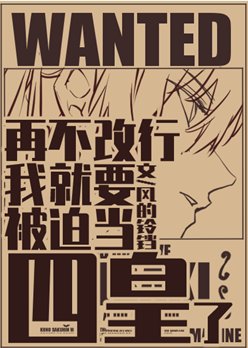 《(综漫同人)再不改行我就要被迫当四皇了》