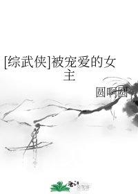 （武侠同人）[综武侠]被宠爱的女主