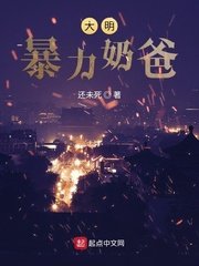 《大明暴力奶爸》