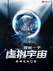 《我有一个虚拟宇宙》