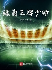 《绿茵王牌少帅》