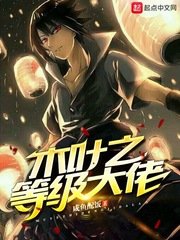 《(火影同人)木叶之等级大佬》