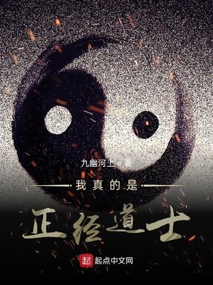 《我真的是正经道士》
