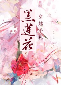 《黑莲花穿越手札》