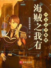 《海贼之我有一人之下系统》