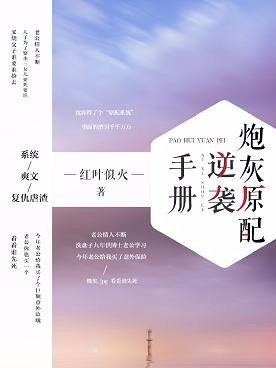 炮灰原配逆襲手冊