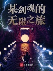 《某剑魂的无限之旅》