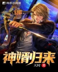 《神婿归来》
