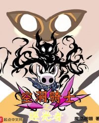 《空洞骑士之逐光者》
