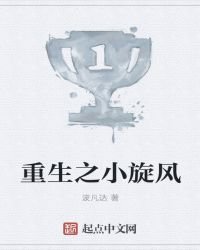 《重生之小旋风》