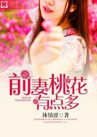 《前妻桃花有点多》