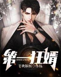 《第一狂婿》
